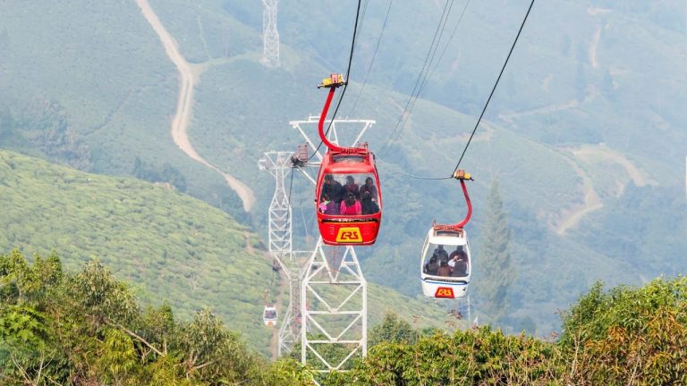 दार्जिलिंग की पहाड़ियों में घट रहा वन क्षेत्र